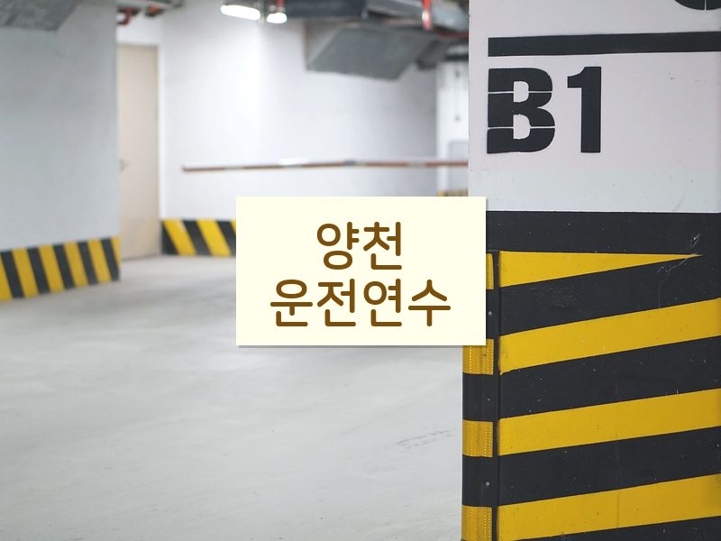 양천운전연수 후기