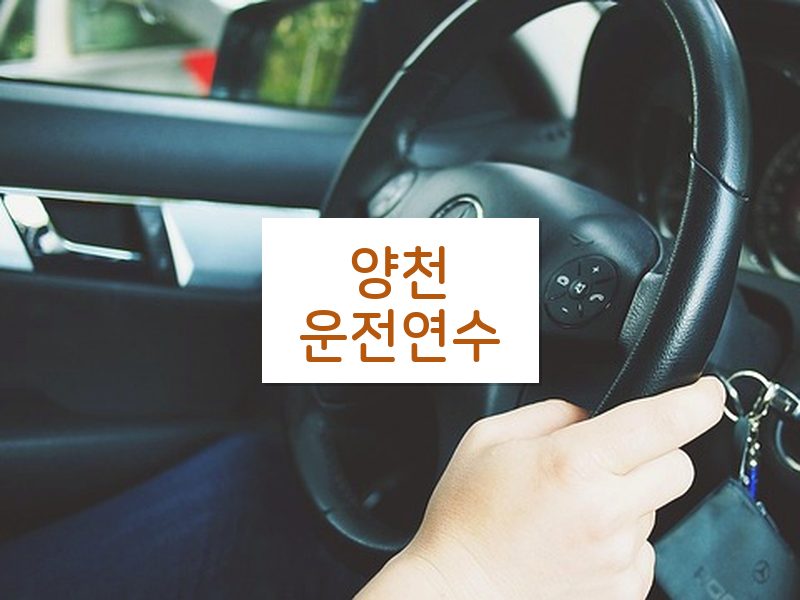 양천운전연수 후기