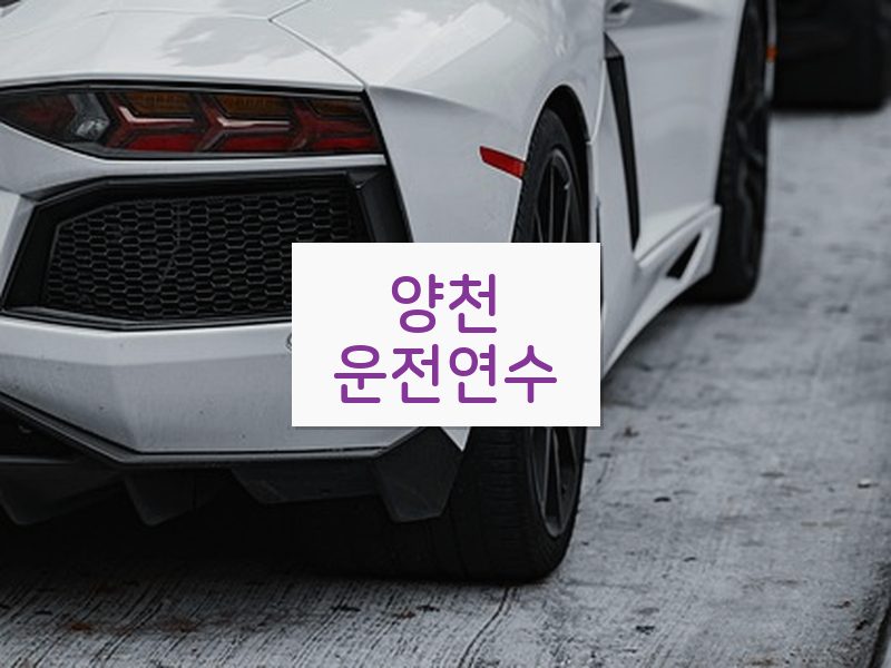 양천운전연수 후기