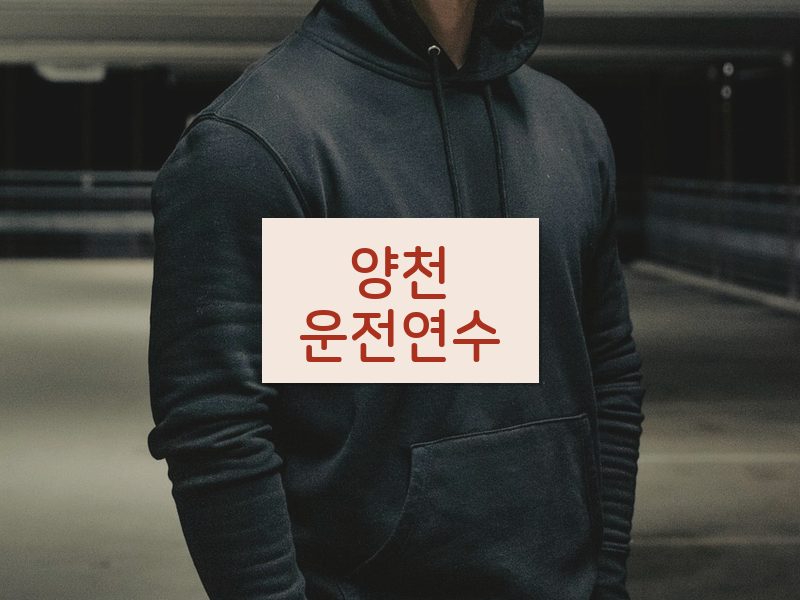양천운전연수 후기