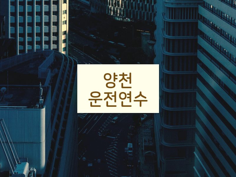 양천운전연수 후기