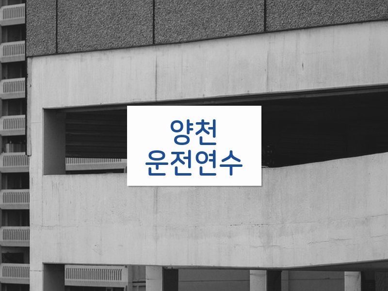 양천운전연수 후기