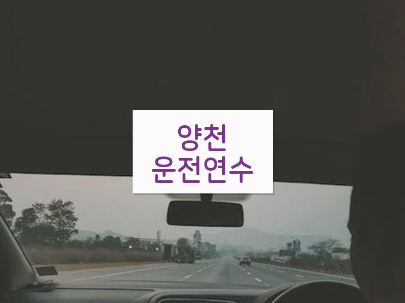 양천운전연수 후기