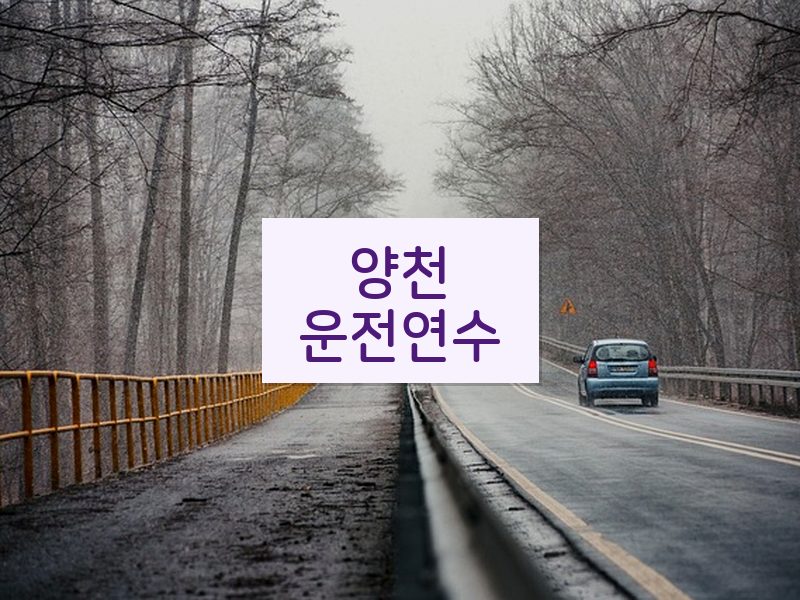양천운전연수 후기