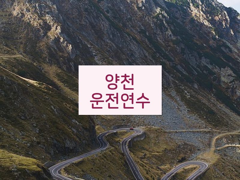 양천운전연수 후기