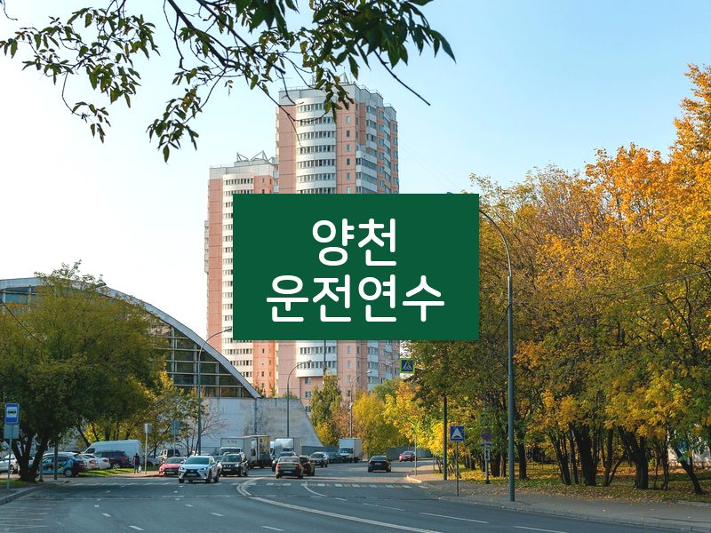 양천운전연수 후기