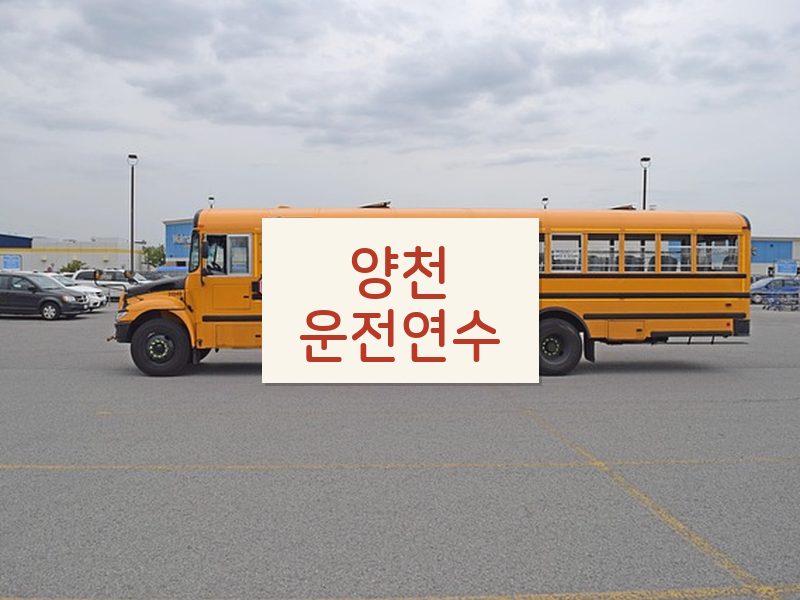 양천운전연수 후기