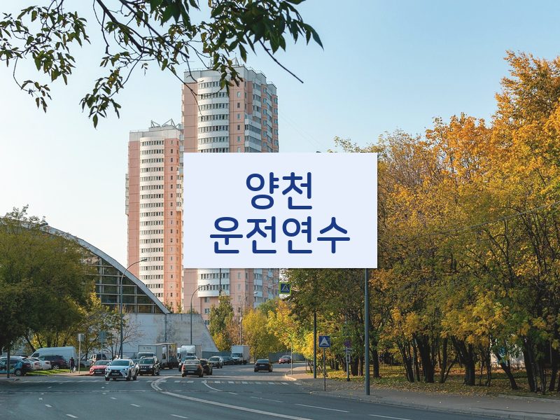 양천운전연수 후기