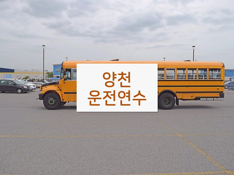 양천운전연수 후기