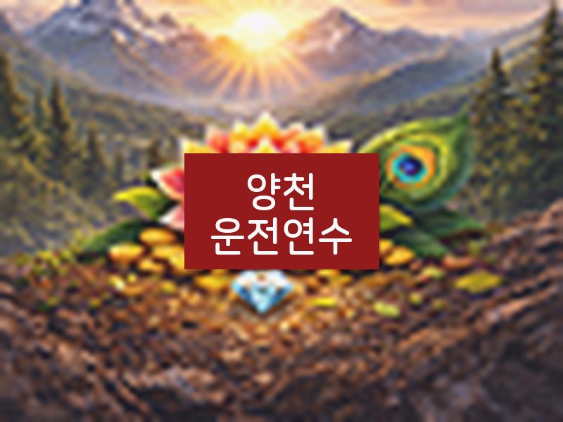 양천운전연수 후기