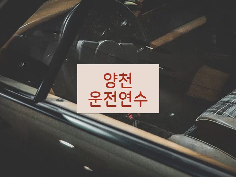 양천운전연수 후기