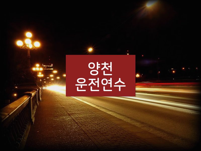 양천운전연수 후기