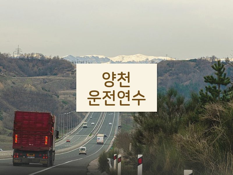 양천운전연수 후기