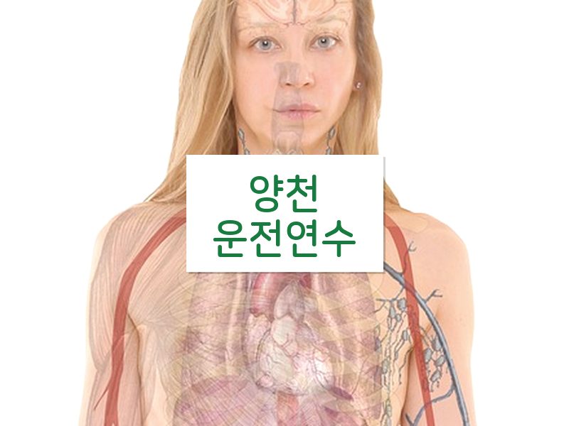 양천운전연수 후기
