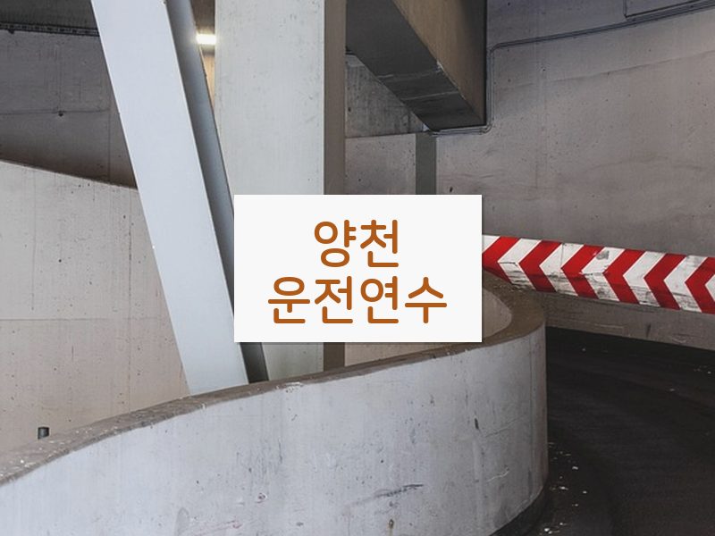 양천운전연수 후기