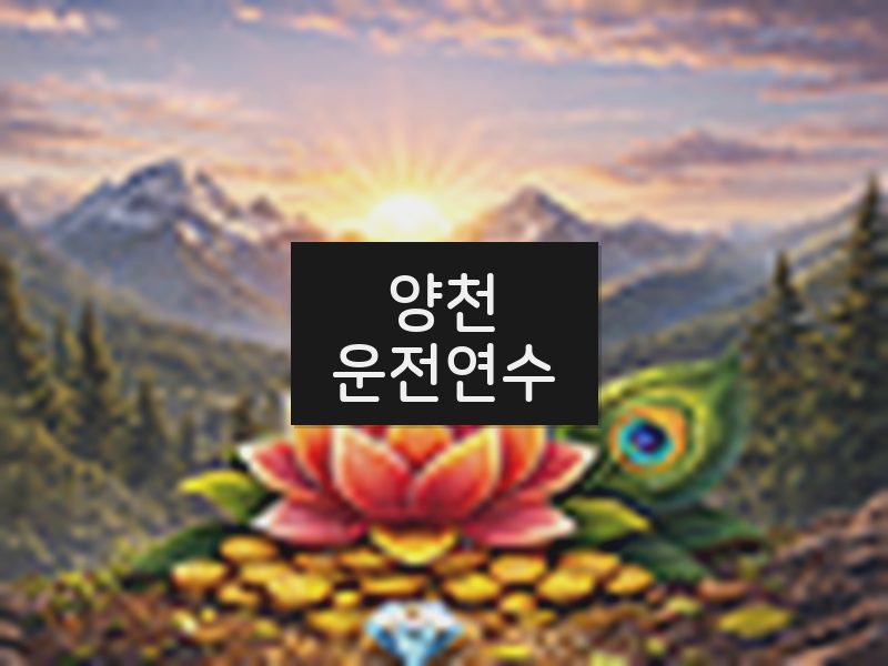 양천운전연수 후기