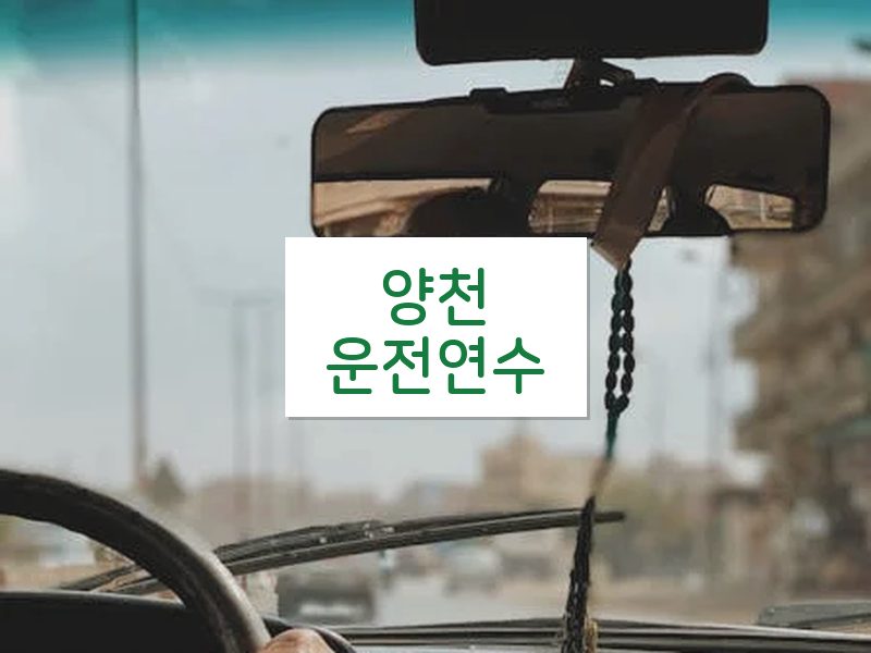 양천운전연수 후기