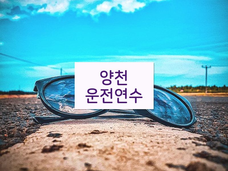 양천운전연수 후기
