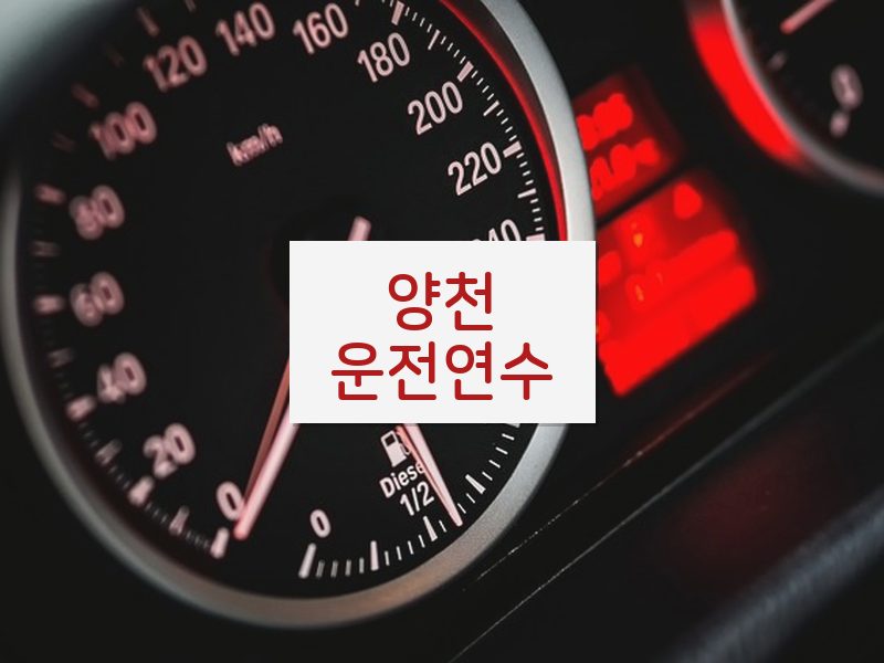 양천운전연수 후기