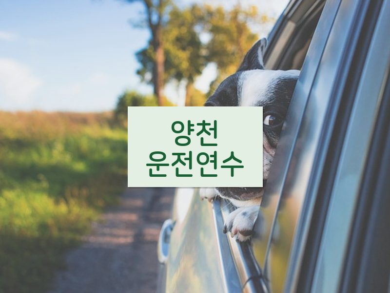 양천운전연수 후기