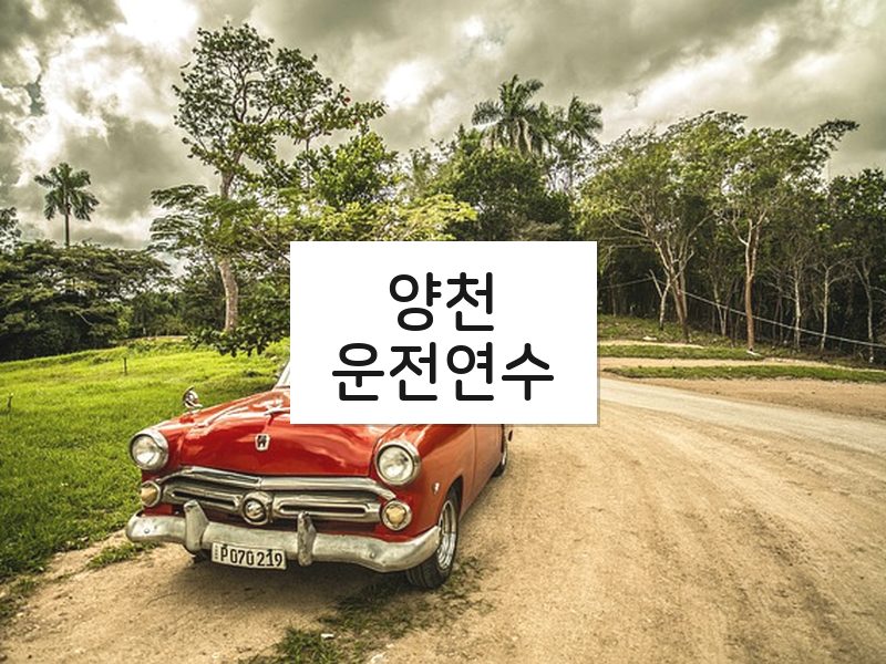 양천운전연수 후기