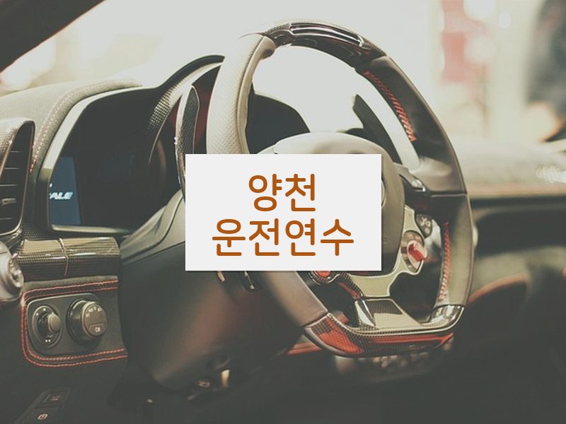 양천운전연수 후기