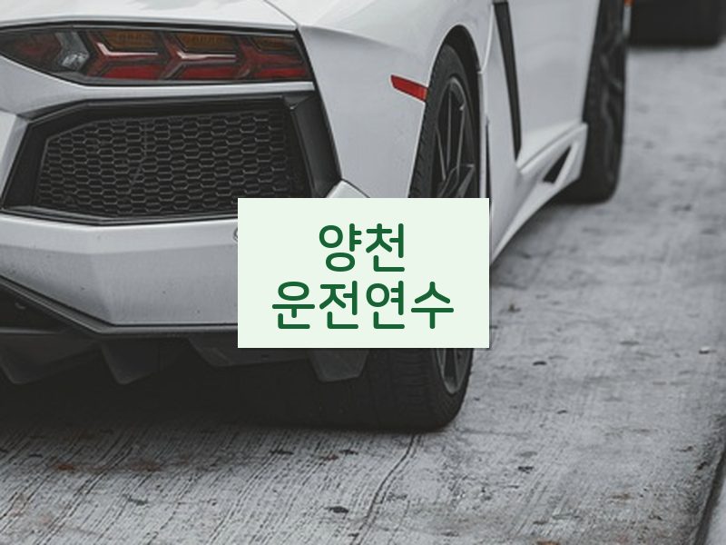 양천운전연수 후기