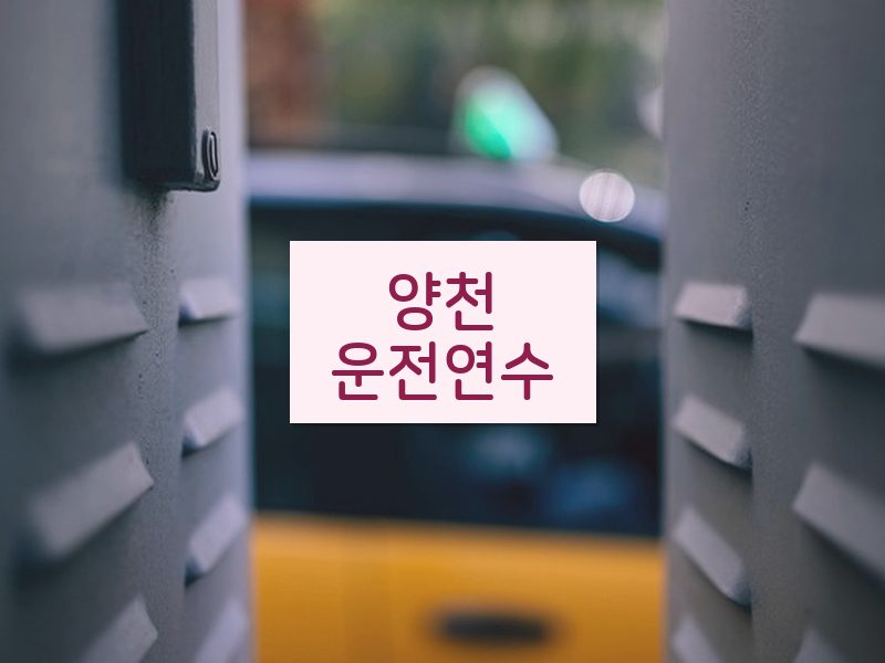 양천운전연수 후기