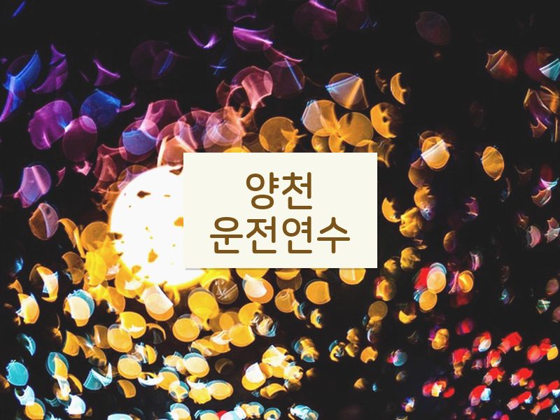 양천운전연수 후기