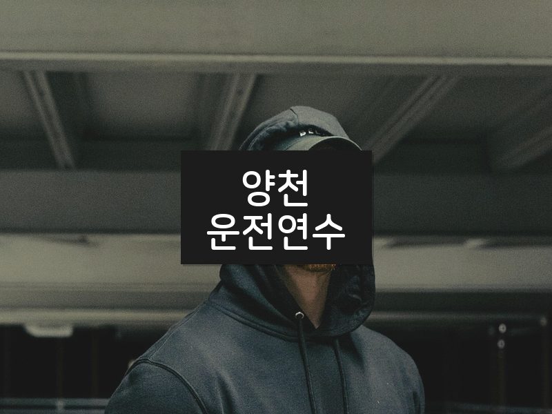 양천운전연수 후기