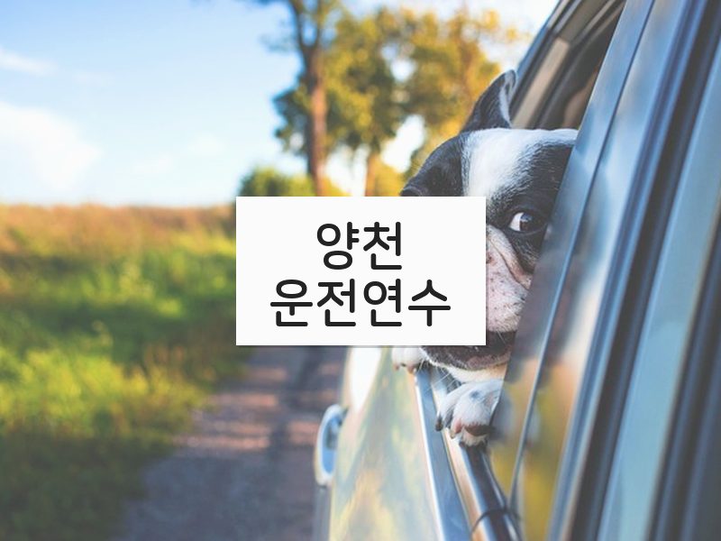 양천운전연수 후기