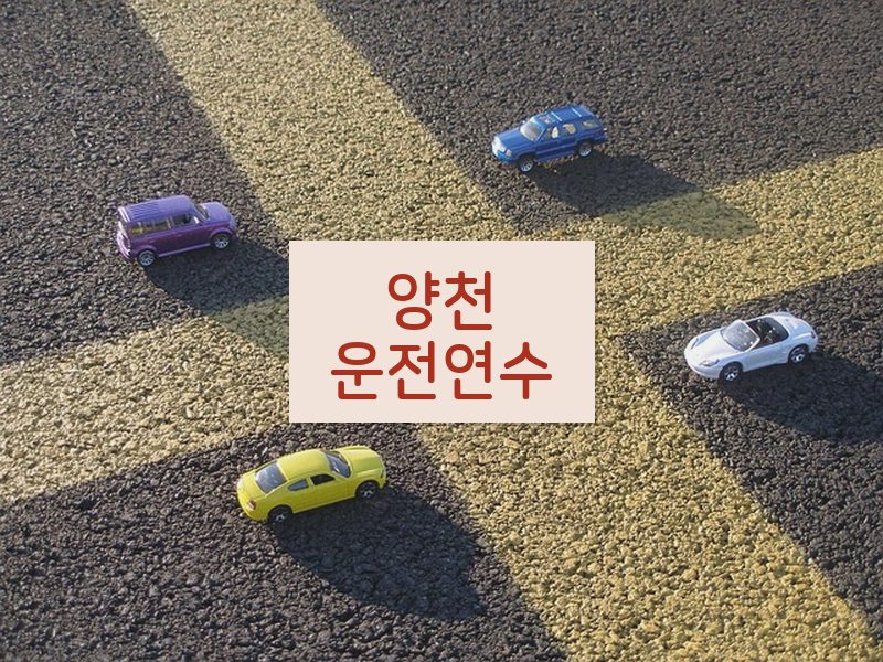 양천운전연수 후기