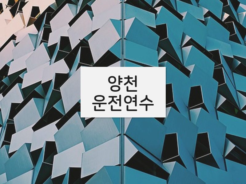 양천운전연수 후기