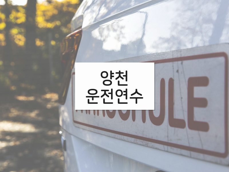 양천운전연수 후기