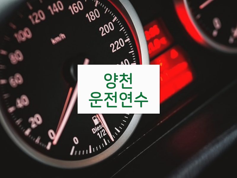 양천운전연수 후기