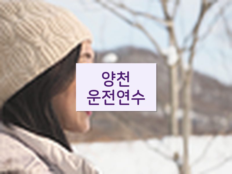 양천운전연수 후기