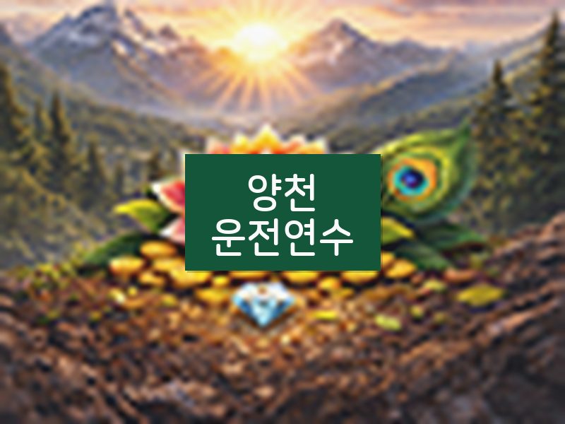양천운전연수 후기