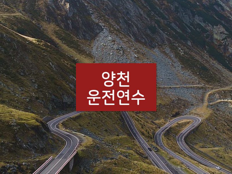 양천운전연수 후기