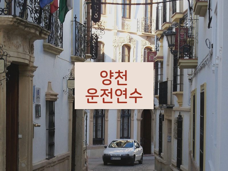 양천운전연수 후기
