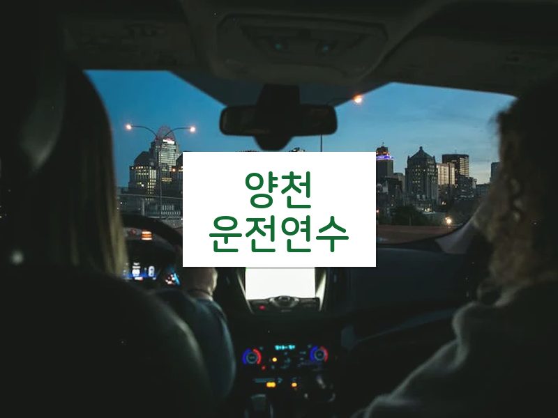 양천운전연수 후기