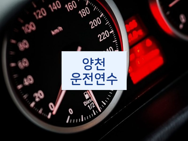 양천운전연수 후기