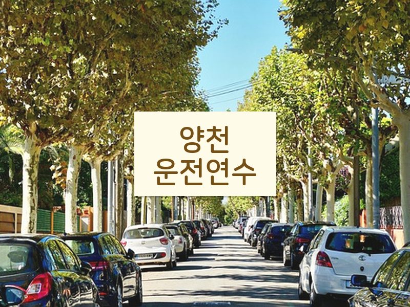 양천운전연수 후기