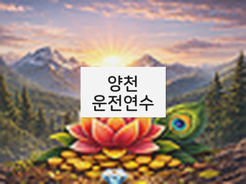 양천운전연수 후기