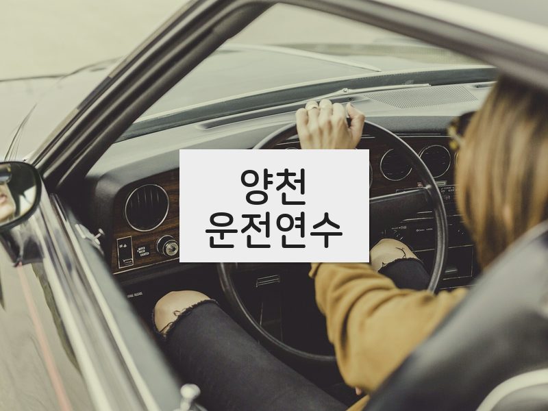 양천운전연수 후기