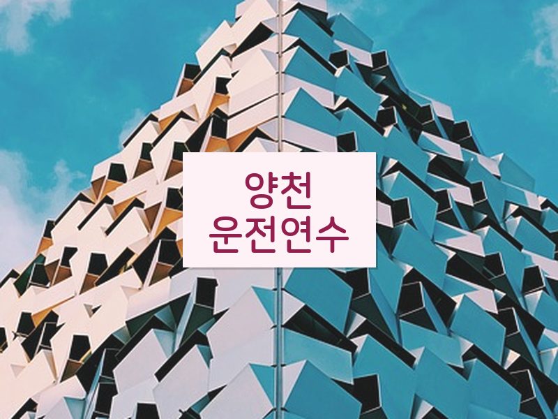 양천운전연수 후기