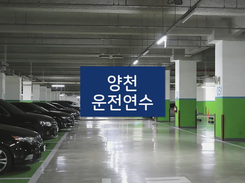 양천운전연수 후기