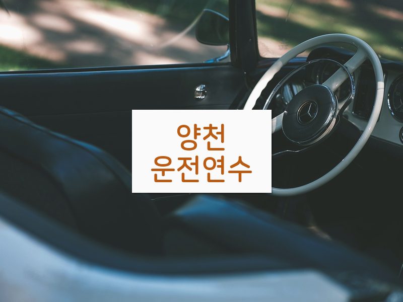 양천운전연수 후기