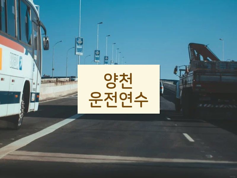 양천운전연수 후기