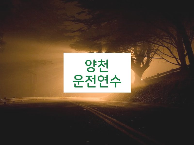 양천운전연수 후기