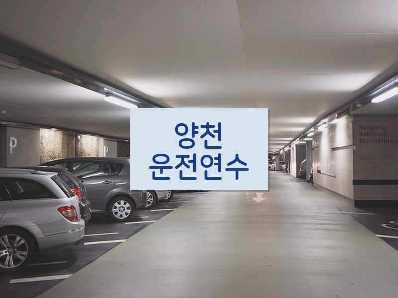 양천운전연수 후기